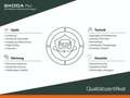 Skoda Kamiq 1.0 TSI DSG - Clever Tour LED Digital LED Grau - thumbnail 18