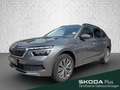 Skoda Kamiq 1.0 TSI DSG - Clever Tour LED Digital LED Grau - thumbnail 1