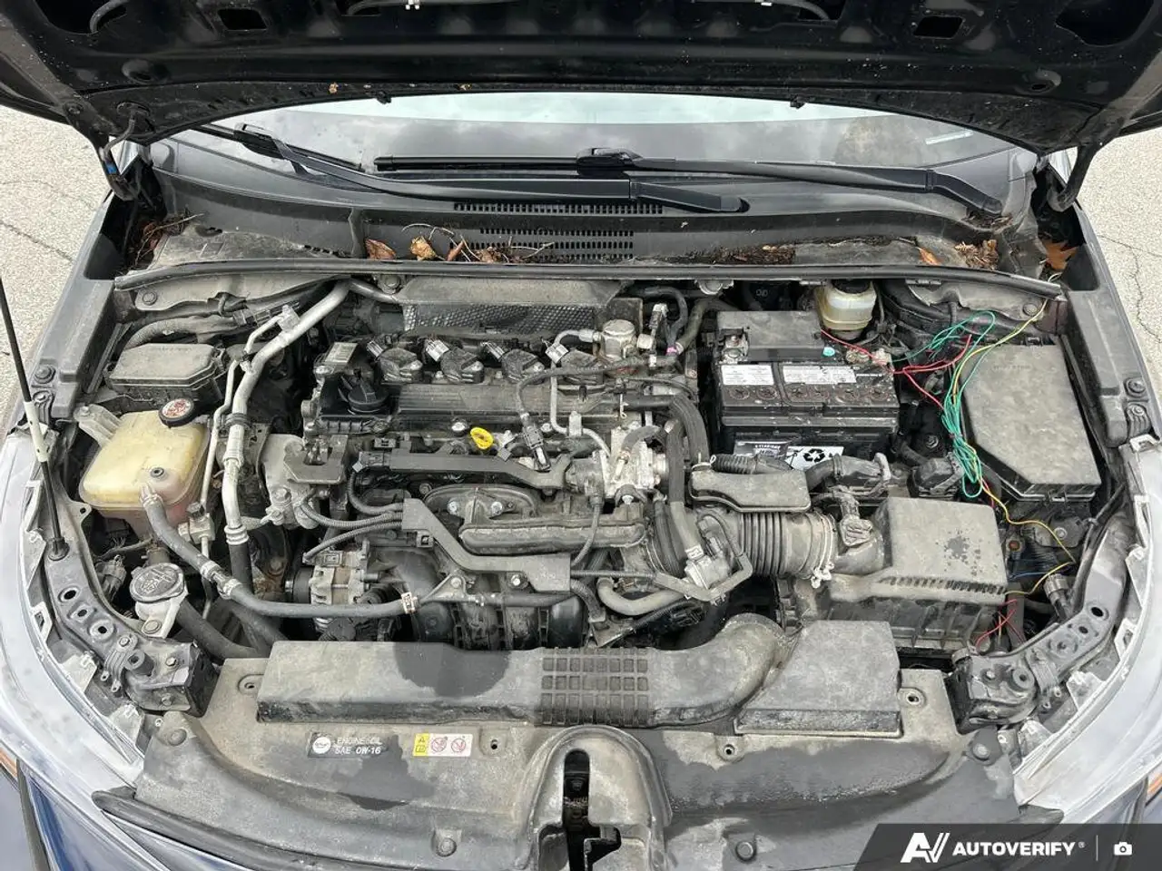 Toyota Corolla снимка Toyota Corolla