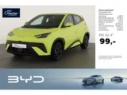Byd DOLPHIN Boost