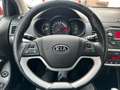Kia Picanto 1.2 CVVT Comfort Pack / 5DRS / Clima / NAP / MF St Rot - thumbnail 13