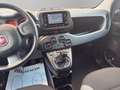 Fiat Panda 1.0 FireFly S&S Hybrid City Life Grigio - thumbnail 12