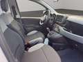 Fiat Panda 1.0 FireFly S&S Hybrid City Life Grigio - thumbnail 10