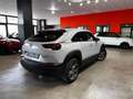Mazda MX-30 e-SKYACTIVE 105 kW (143CV) Origin Grijs - thumbnail 6