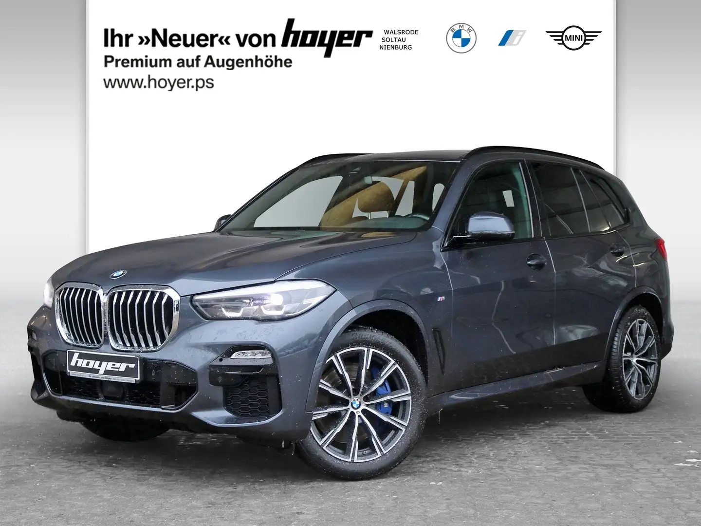 BMW X5 xDrive30d M Sportpaket Gestiksteuerung DAB Grau - 1