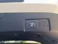 Ford Puma SOUND EDITION 125 PS EcoBoost/Benzin Mild-Hybri... Weiß - thumbnail 9