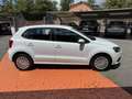 Volkswagen Polo 1.2 TSI 5p. Comfortline UNIPRO TAGLIANDATA GOMMATA Blanc - thumbnail 6