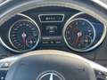 Mercedes-Benz G 500 Disgno/Exclusiv-Pak. Sport-Pak/Standheiz. Noir - thumbnail 12