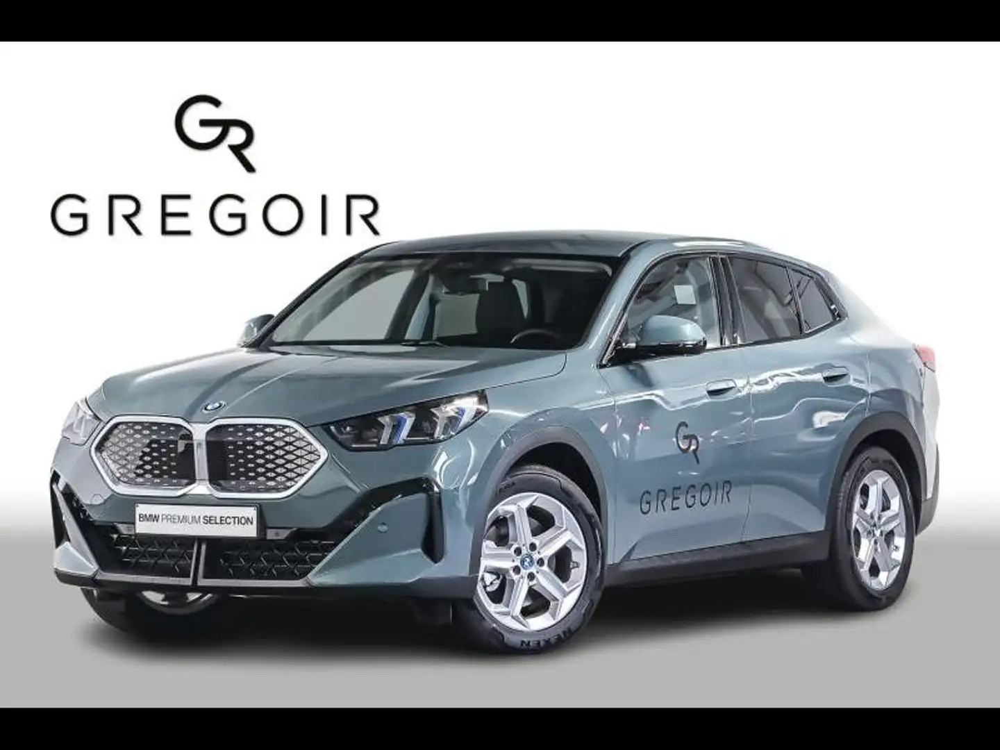 BMW iX2 xDrive30 Verde - 1