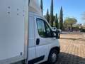 Fiat Ducato SPONDA DHOLLANDIA QL 7.5 Bianco - thumbnail 4