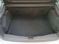 Ford Focus 1.5 tdci Titanium 120cv 5p Srebrny - thumbnail 9