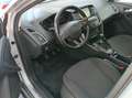 Ford Focus 1.5 tdci Titanium 120cv 5p Серебристый - thumbnail 12