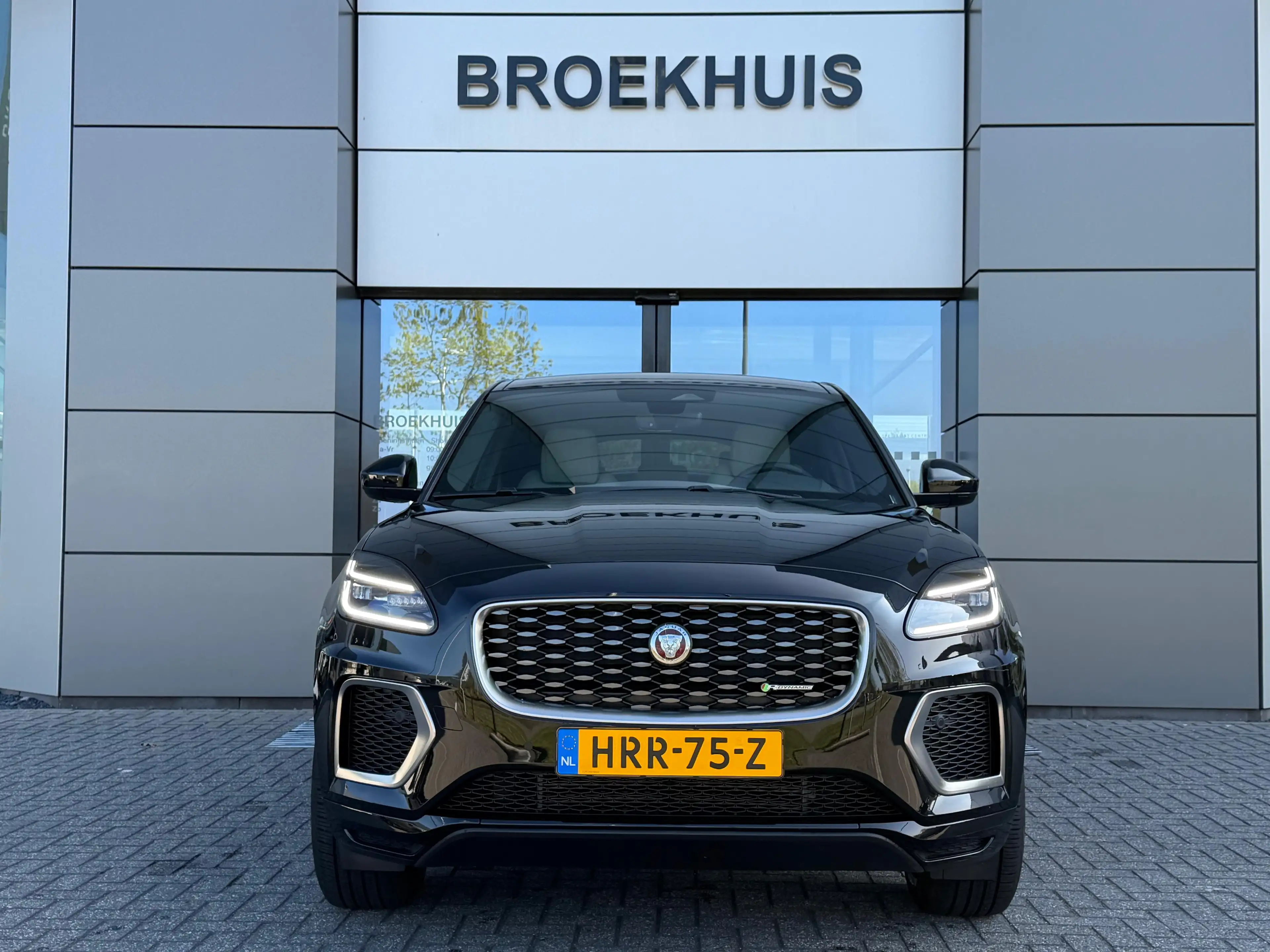 Jaguar E-Pace P300e AWD R-Dynamic SE | Stoelverwarming voor | 19 — photo 3