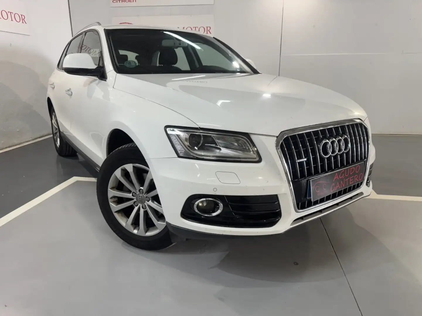 Audi Q5 2.0TDI CD quattro Advanced Ed. S-T 190 bijela - 1