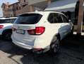 BMW X5 X5 F15 xdrive40e Business auto Bianco - thumbnail 3