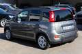 Fiat Panda Panda 1.0 firefly hybrid City Life s Grau - thumbnail 3