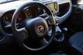 Fiat Panda Panda 1.0 firefly hybrid City Life s Grau - thumbnail 8