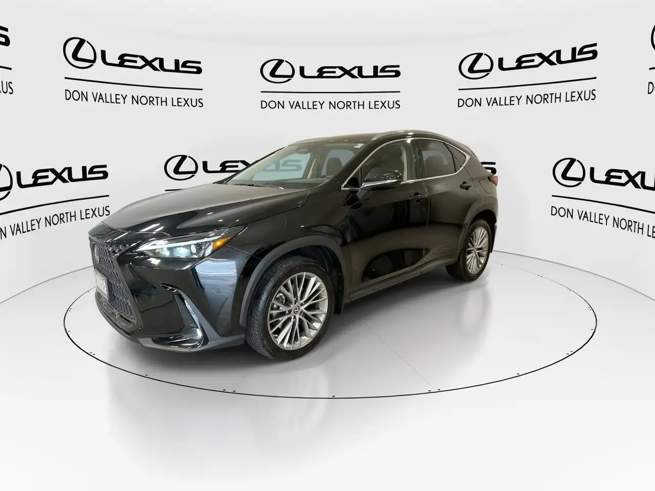Lexus NX photo Lexus NX