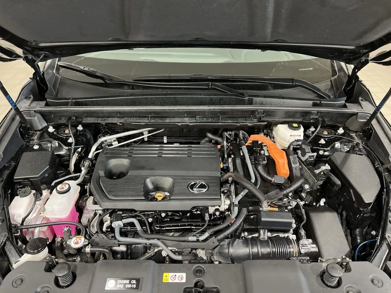 Lexus NX photo Lexus NX