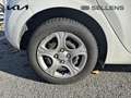 Kia Picanto 1.0 DPi 67ch Active Blanc - thumbnail 16