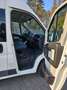 Fiat Ducato Ducato L2H2 130 Multijet Weiß - thumbnail 11