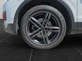 SEAT Tarraco 2,0 TDI Xcellence DSG 4Drive Blanc - thumbnail 23