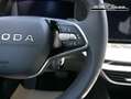 Skoda Octavia Combi Selection 1.5 TSI mHEV DSG*AHK-SCHW*ACC*P... Weiß - thumbnail 14