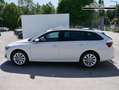 Skoda Octavia Combi Selection 1.5 TSI mHEV DSG*AHK-SCHW*ACC*P... Weiß - thumbnail 4