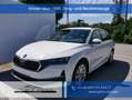 Skoda Octavia Combi Selection 1.5 TSI mHEV DSG*AHK-SCHW*ACC*P... Weiß - thumbnail 1