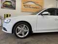 Audi A4 A4 Avant 2,0 TDI quattro Sport DPF S-tronic Sport Weiß - thumbnail 3