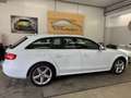 Audi A4 A4 Avant 2,0 TDI quattro Sport DPF S-tronic Sport Weiß - thumbnail 8