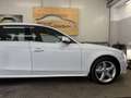 Audi A4 A4 Avant 2,0 TDI quattro Sport DPF S-tronic Sport Weiß - thumbnail 7