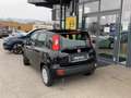 Fiat Sonstige Pandina FireFly Hybrid 70 Icon Schwarz - thumbnail 13