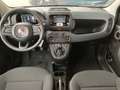 Fiat Sonstige Pandina FireFly Hybrid 70 Icon Schwarz - thumbnail 11