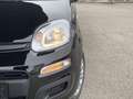 Fiat Sonstige Pandina FireFly Hybrid 70 Icon Schwarz - thumbnail 15