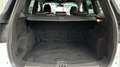 Ford Kuga 1.5 ECOBOOST 110KW ST-LINE LIMITED ED 150 5P Blanco - thumbnail 18