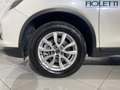 Nissan X-Trail 3ª SERIE DCI 150 4WD N-CONNECTA Bianco - thumbnail 14
