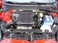 Fiat Punto 1.2 8V MyStyle mit Klimaanlage und Einparkhilfe crvena - thumbnail 5