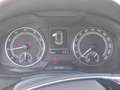 Skoda Kamiq 1.0 TSI Ambition el Fenster Tempomat LED Schwarz - thumbnail 4