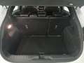 Ford Puma Hybrid ST-Line X Blanco - thumbnail 11