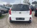 Kia Picanto Dream Team I wenig Kilometer I Im guten Zustand Weiß - thumbnail 9