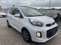 Kia Picanto Dream Team I wenig Kilometer I Im guten Zustand Weiß - thumbnail 14
