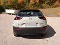 Mazda MX-30 MX-30 35,5kWh Edition One Modern Edition One Modern Weiß - thumbnail 5