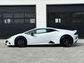 Lamborghini Huracán EVO LP640-4*ADPERSONAM*LIFT*ALCANTARA*PARKINGSENS. White - thumbnail 8