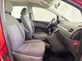 Ford Focus C-Max 1.6 VCT (115CV) 16V Ghia Rosso - thumbnail 5