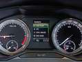 Skoda Superb Superb 2.0 TDI EVO 122 CV SCR DSG Wagon Executive Silber - thumbnail 25