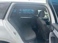 Skoda Octavia Combi 1.4TSI DSG"Style"1.HAND*ALLWETTER Weiß - thumbnail 23