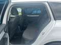 Skoda Octavia Combi 1.4TSI DSG"Style"1.HAND*ALLWETTER Weiß - thumbnail 22