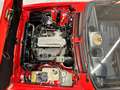 Alfa Romeo GTV GTV6 2.5i ASI-TARGA ORO-V6 BUSSO-VERSIONE AMERICA Rosso - thumbnail 10