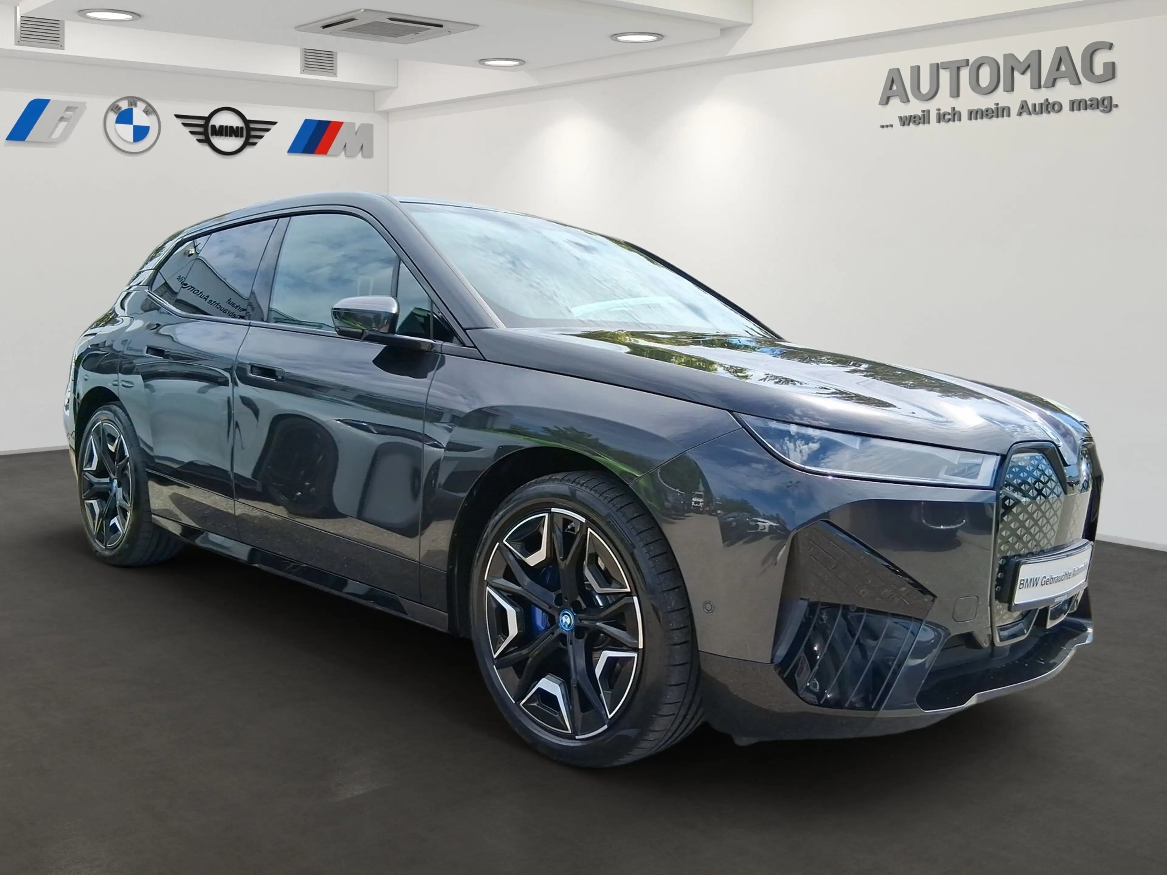 BMW iX xDrive40 AHK*Laser*Luftfeder*Pano*Suite*22" — photo 2